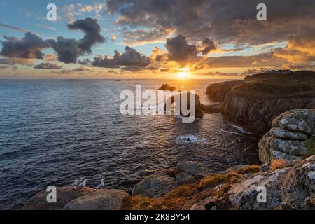 coucher de soleil à la fin des terres de cornouailles avec enys dodnan et les formations rocheuses armées de chevalier et les oiseaux de mer Banque D'Images