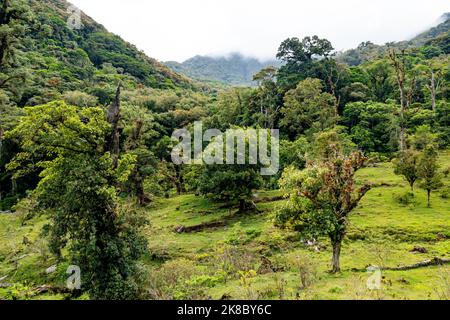 Vue aérienne de Boquete dans la province de Chiriqui, dans l'ouest du Panama. Banque D'Images