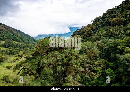 Vue aérienne de Boquete dans la province de Chiriqui, dans l'ouest du Panama. Banque D'Images