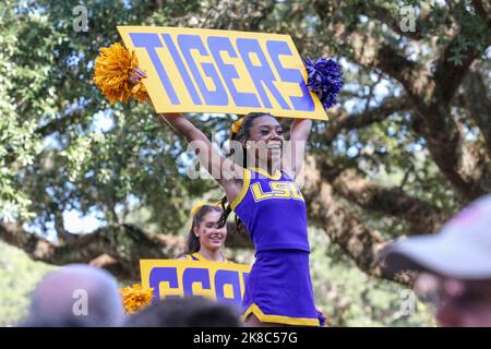 Bâton Rouge, LA, États-Unis. 22nd octobre 2022. Un cheerleader du LSU applaudit à la foule sur Victory Hill avant que le groupe et l'équipe de football ne descendent avant le match de football de la NCAA entre les rebelles Ole Miss et les Tigres du LSU au Tiger Stadium de Baton Rouge, LA. Jonathan Mailhes/CSM/Alamy Live News Banque D'Images