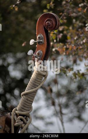 Tête de contrebasse remontée en puissance comme tête de figurine de bateau Banque D'Images