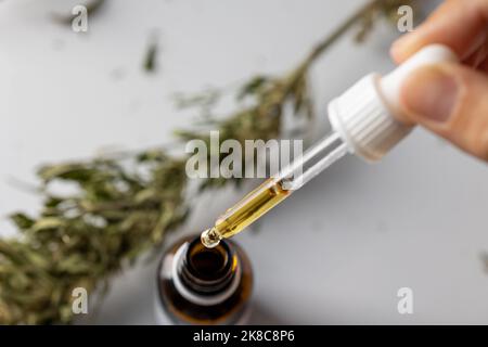 CBD droplet de cannabis dosage d'une plante biologique et écologique de chanvre phytopharmaceutique Banque D'Images