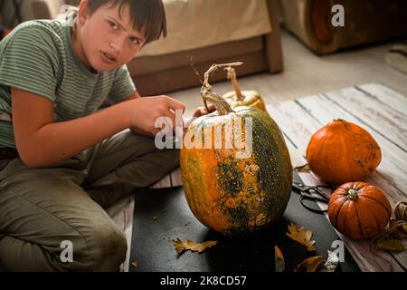 Activités de détente en famille. Un garçon porte une lanterne d'Halloween sur une grande citrouille jaune-vert. L'enfant se prépare à la Toussaint et se trouve à côté Banque D'Images