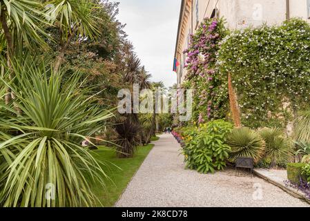 Parc jardin de l'Isola Madre ou l'île mère, la plus grande des îles Borromées situé sur le lac majeur, province de Stresa, Piémont, Italie Banque D'Images