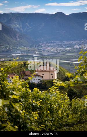 Des vignobles et des caves de vinification entourent Bolzano dans les Dolomites du nord de l'Italie. Banque D'Images