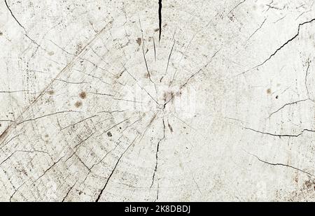 grunge fond texturé avec une surface en bois sec sciée Banque D'Images