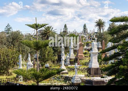 Pierres tombales au cimetière Waverley surplombant l'océan Pacifique dans le Bronte, Sydney, Australie Banque D'Images