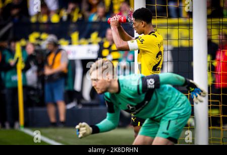 Dortmund, 22.10.2022 Jude Bellingham (BVB) erfrischt sich - Torwart Florian Müller (VfB) Borussia Dortmund - VfB Stuttgart Fussball; Saison 2022/23 Banque D'Images