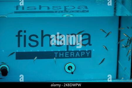 Moraitika, Grèce - 09 28 2022: Fishspa Therapy in Hotel Spa for People Beauté and Relax. Banque D'Images