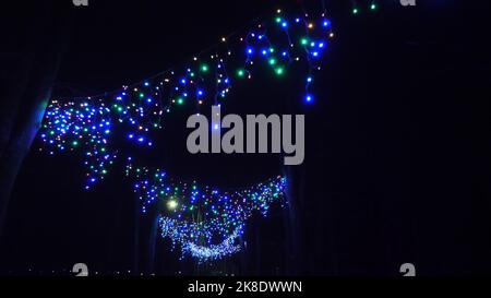 Guirlande lumineuse de Noël. Magnifique guirlande extérieure multicolore, lumineuse, décorant parc ou rue, la nuit. Décoration de Noël festive. Photo de haute qualité Banque D'Images