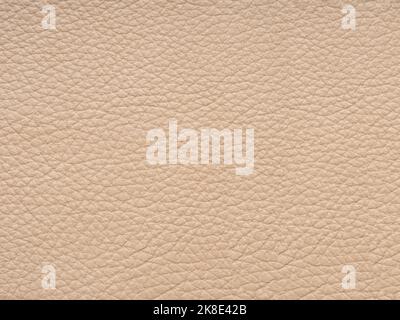 Échantillon de cuir beige. Arrière-plan avec espace de copie, vue de dessus. Texture en cuir véritable dans un ton beige clair. Toile de fond effet texturé pour plus de style Banque D'Images