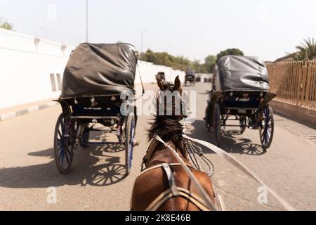 Calèche dans une route de la ville d'Edfu Banque D'Images