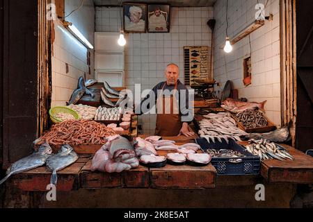 Différents types de poissons et fruits de mer, spécialités à un marché, vendeur de poissons dans le souk, Fès el Bali, Fès, Fez-Meknes, Maroc Banque D'Images