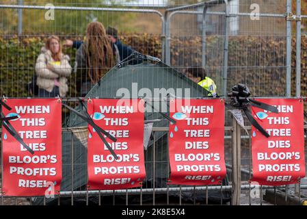 Ashingdon Road, Rochford, Southend on Sea, Essex, Royaume-Uni. 23rd octobre 2022. Les manifestants cherchent à empêcher la coupe d'un chêne vieux de 150 ans pour permettre l'accès à un immeuble de 662 logements par Bloor Homes. Après une longue période de campagne, la permission a finalement été accordée pour le travail de commencer à enlever le chêne de Holt Farm prévu pour le 24th octobre. Un manifestant a construit une plate-forme pour occuper l'arbre avec d'autres militants qui se sont installés sur le terrain avant que les barrières de sécurité ne soient érigées. Ils ont également affirmé que l'arbre est la maison des chauves-souris Banque D'Images