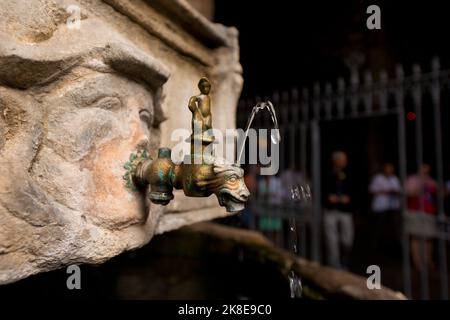 Détail de la fontaine de Saint-Georges dans la cathédrale de Barcelone la Sainte Croix et Saint Eulalia. Catalogne, Espagne Banque D'Images