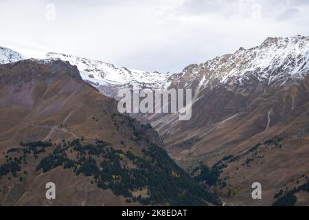 Vue d'en haut sur les pentes des montagnes, surcultivée avec la forêt en automne. Montagnes, tourisme. Mise au point sélective. Banque D'Images