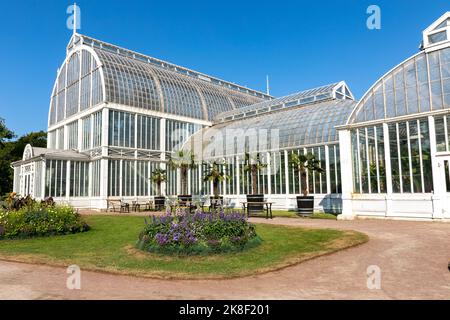 Serre de verre. Le public Palm House, Garden Society à Göteborg, Suède. Banque D'Images