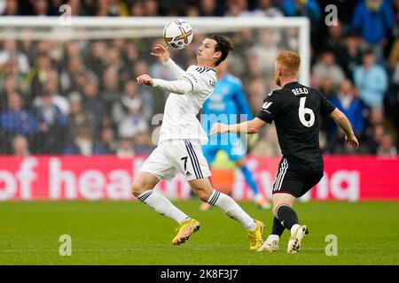 Brenden Aaronson de Leeds United (à gauche) et Harrison Reed de Fulham se battent pour le ballon lors du match de la Premier League à Elland Road, Leeds. Date de la photo: Dimanche 23 octobre 2022. Banque D'Images