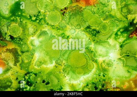 Texture organique composée d'aquarelle liquide verte et orange sur papier blanc qui simule les feuilles et les concepts de la nature et de la santé Banque D'Images