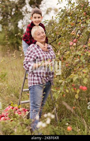 Grand-mère souriante avec petit-fils debout près d'un pommier Banque D'Images