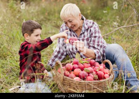 Grand-mère et petit-fils souriants comparant les pommes ensemble au verger Banque D'Images