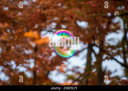 Séoul, Corée du Sud. 23rd octobre 2022. Cette photo prise le 23 octobre 2022 montre une bulle de savon reflétant la Tour Namsan de Séoul au parc Namsan de Séoul, en Corée du Sud. Crédit : Wang Yiliang/Xinhua/Alay Live News Banque D'Images