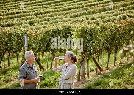 Femme mature buvant du vin debout par l'homme dans le vignoble Banque D'Images