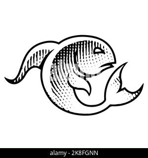 Illustration du poisson gravé sur un fond blanc Illustration de Vecteur