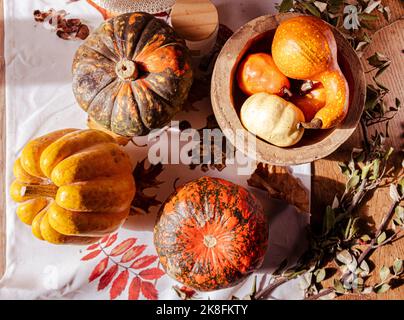 Automne vibes vue de dessus en bas de courbade et de citrouilles colorées sur une table Banque D'Images