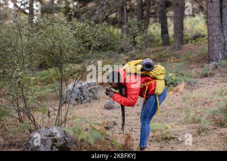 Jeune femme avec un appareil photo qui photographie en forêt Banque D'Images