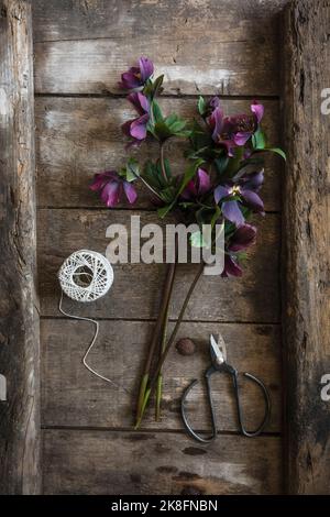 Cordes, ciseaux et hellébores en fleur posés sur une table en bois Banque D'Images