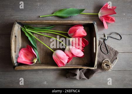 Tulipes Don Quichotte à fleurs roses couchés sur un plateau en bois Banque D'Images