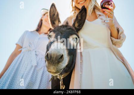 Heureux amis avec âne tenant des lunettes de vin le jour ensoleillé Banque D'Images