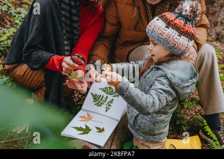 Grands-parents et petite-fille regardant les feuilles à travers la loupe dans la forêt Banque D'Images