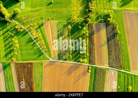 Allemagne, Bade-Wurtemberg, Drone vue sur les champs d'automne dans la vallée de Rems Banque D'Images