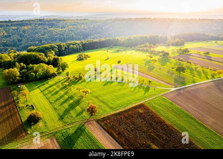 Allemagne, Bade-Wurtemberg, Drone vue sur les champs d'automne dans la vallée de Rems au lever du soleil Banque D'Images