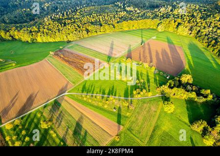 Allemagne, Bade-Wurtemberg, Drone vue sur les champs d'automne dans la vallée de Rems Banque D'Images