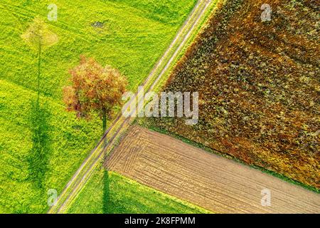 Allemagne, Bade-Wurtemberg, Drone vue sur les pistes de pneus s'étendant le long des champs d'automne Banque D'Images