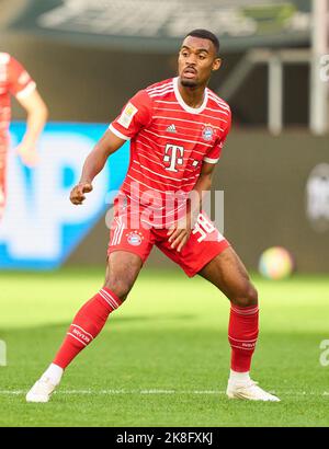 Munich, Allemagne. 22nd octobre 2022. Ryan Gravenberch, FCB 38 dans le match TSG 1899 HOFFENHEIM - BAYERN MUENCHEN 0-2 1.Ligue allemande de football le 22 octobre 2022 à Hoffenheim, Allemagne. Saison 2022/2023, match jour 11, 1.Bundesliga, FCB, München, 11.Spieltag, München © Peter Schatz / Alamy Live News - LA RÉGLEMENTATION DFL INTERDIT TOUTE UTILISATION DE PHOTOGRAPHIES comme SÉQUENCES D'IMAGES et/ou QUASI-VIDÉO - Credit: Peter Schatz/Alamy Live News Banque D'Images