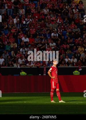 Munich, Allemagne. 22nd octobre 2022. Joshua KIMMICH, FCB 6 dans le match TSG 1899 HOFFENHEIM - BAYERN MUENCHEN 0-2 1.Ligue allemande de football le 22 octobre 2022 à Hoffenheim, Allemagne. Saison 2022/2023, match jour 11, 1.Bundesliga, FCB, München, 11.Spieltag, München © Peter Schatz / Alamy Live News - LA RÉGLEMENTATION DFL INTERDIT TOUTE UTILISATION DE PHOTOGRAPHIES comme SÉQUENCES D'IMAGES et/ou QUASI-VIDÉO - Credit: Peter Schatz/Alamy Live News Banque D'Images