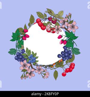 Couronne ronde ou cadre de framboise, canneberge, bleuet, mûre, fraise sur branches sur fond blanc. Illustration dessinée à la main. Banque D'Images