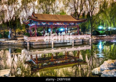 Wushu dans le parc pratiquant Tai Chi Temple du soleil Pavillon Pond réflexion Green Willows Beijing Chine Banque D'Images