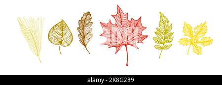 Feuilles d'automne décoratives jaunes, rouges et vertes. Illustration vectorielle Illustration de Vecteur