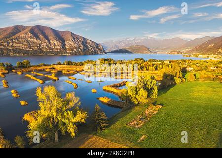 Ciew de la Réserve nationale de tourbières de Peat du lac Iseo, Franciacorta, Lombardie, Italie Banque D'Images