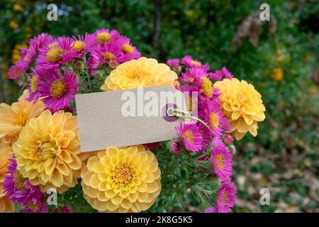 Carte de voeux avec bouquet de fleurs d'automne avec dahlias jaunes et asters roses Banque D'Images