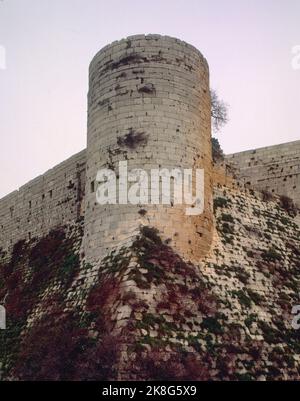 FORTALEZA MEDIEVAL CONSTRUIDA EN EL S XII/XIII POR LA ORDEN DE LOS CABALLEROS HOSPITALARIOS. EMPLACEMENT : CASTILLO DE KRACK DE LOS CABALLEROS. Nación. Banque D'Images