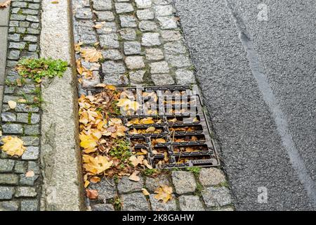 Un trou d'homme est complètement obstrué par des feuilles Banque D'Images