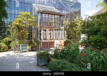 Serre de l'Hortus botanicus à Leiden. C'est le plus ancien jardin botanique des pays-Bas et a été fondé en 1590. Banque D'Images