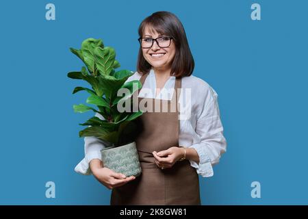 Femme en tablier avec plante en pot, sur fond bleu Banque D'Images