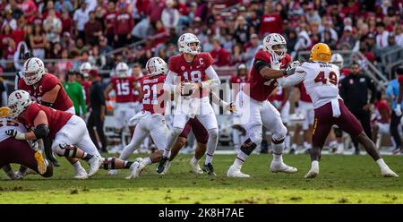 22 octobre 2022 Palo Alto, CA États-Unis le quarterback de Stanford Tanner McKee (18) cherche la passe profonde pendant le match de football de la NCAA entre les Sun Devils de l'État d'Arizona et le Cardinal de Stanford. Stanford a battu l'Arizona State 15-14 au stade Stanford Palo Alto, CA Thurman James/CSM Banque D'Images